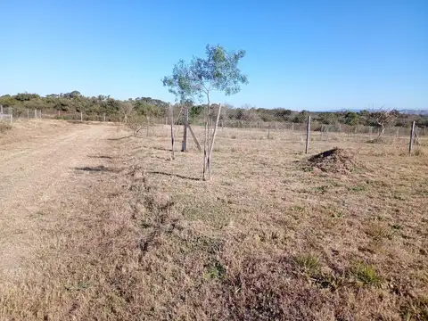 Terreno en Venta de 453,0 m2