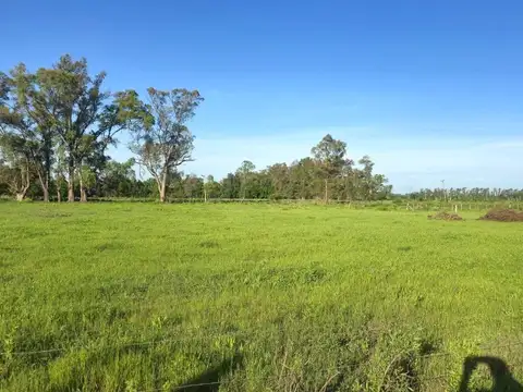 Terreno en Venta en El Zorzal, USD 49.000