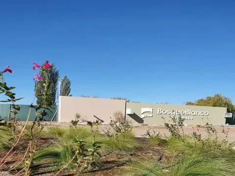 LOTE APTO PH EN BARRIO PRIVADO BOSQUE BLANCO - JUNIN