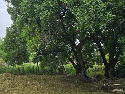 Terreno/ lote - en venta en Quequen partido de Necochea