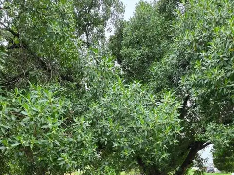 Terreno/ lote - en venta en Quequen partido de Necochea