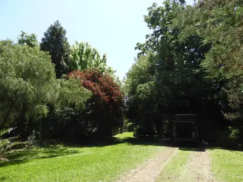 Quinta en Gral. Rodriguez