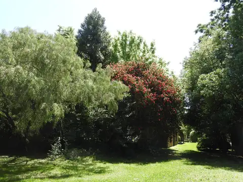 Quinta en Gral. Rodriguez