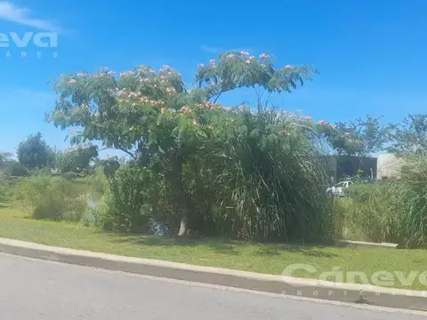 C Rural Guastavino B 1631 Zelaya