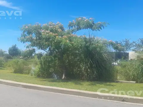 Terreno en San Ramon