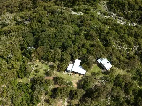 Campo en Venta de 242  ha