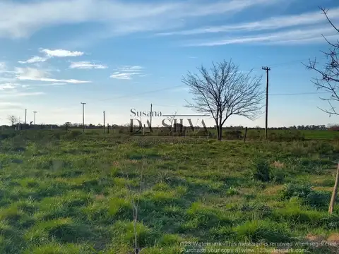 Campo Calle Marcos Paz