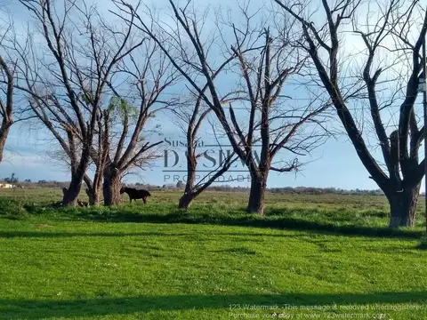4 HECTAREAS sobre calle MARCOS PAZ