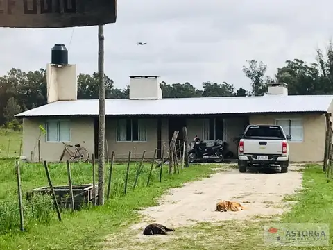 Lindisima chacra en excelentes 2,6 hectáreas