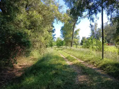 Ruta 3 km 74,300 , Piso 0