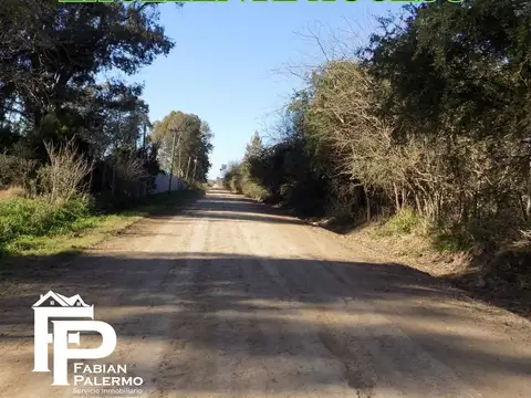 Camino 038 1000