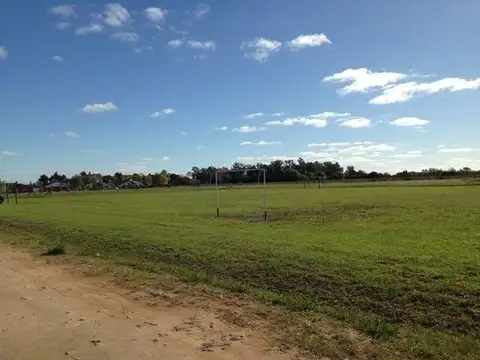 Terreno en Venta 12  mts Fondo