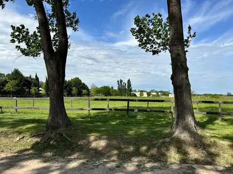 Haras El Malacate