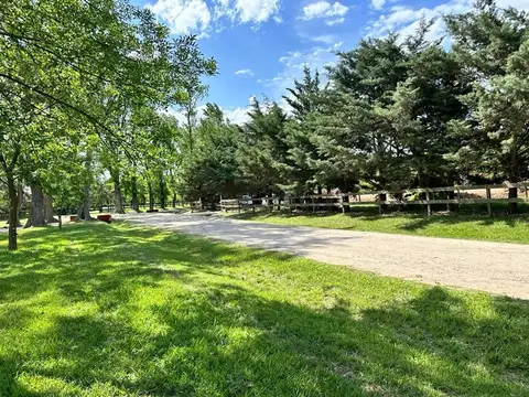 Haras El Malacate