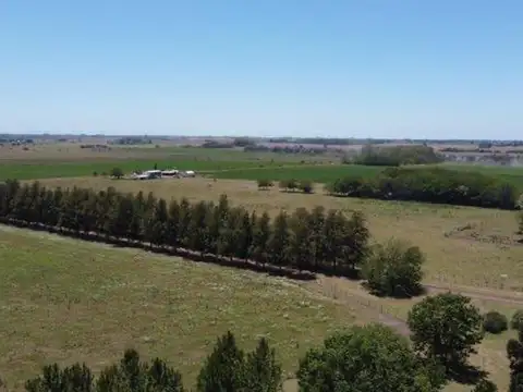 Campo en Alquiler Agrícola