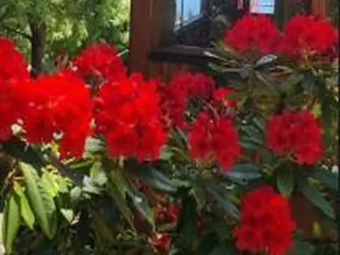 Casa en Venta 23 años