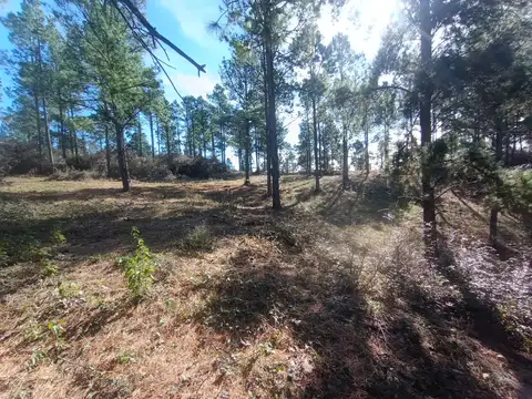 Terreno en Venta en La Cumbrecita, USD 67.000