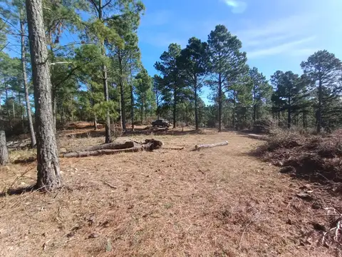Hermoso terreno de 5000m2. La Cumbrecita.