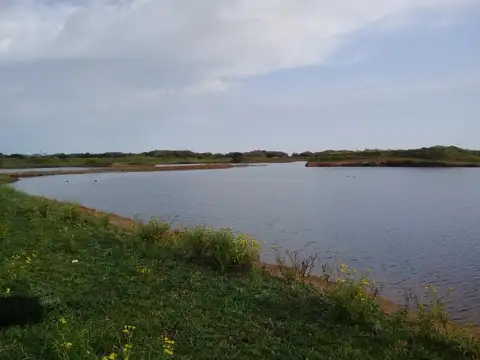 Campo en Venta de 82  ha