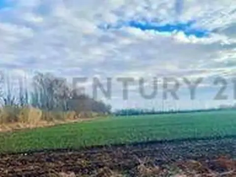 fernando calderon , Piso 0