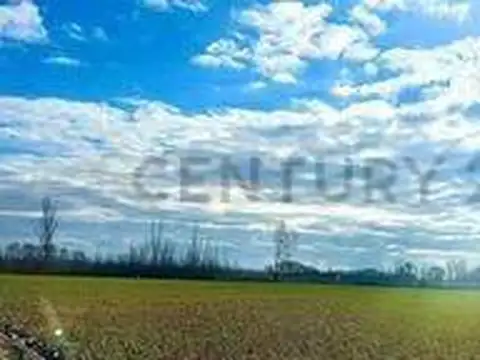 VENTA FINCA TUNUYÁN DE 17 HECTAREAS CON CULTIVOS