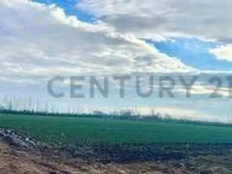 Campo en Venta de 17  ha