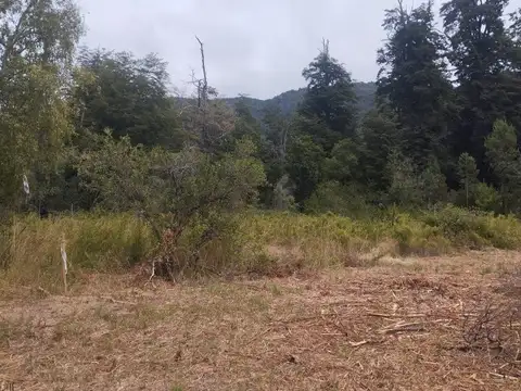 Terreno en Venta 16  mts Frente