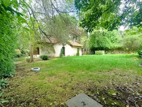 Torcaza 7500