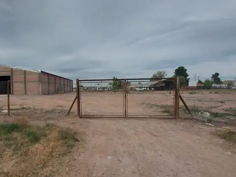 Hans Flugel y Guido Brevi