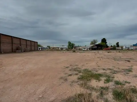 Hans Flugel y Guido Brevi