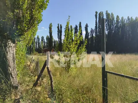 LOTE 9-a