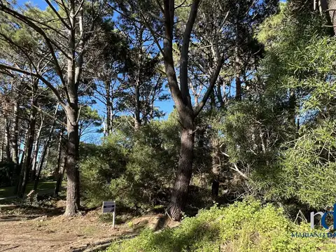 Terreno en Venta en Pinamar Norte, USD 80.000