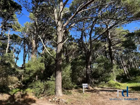 Lote en Venta en Pinamar Zona Norte
