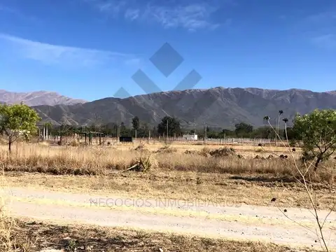Terreno en Venta 45  mts Fondo