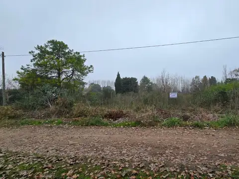 Fragata Sarmiento al 1800