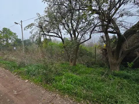 Terreno en Venta de 2478,0 m2