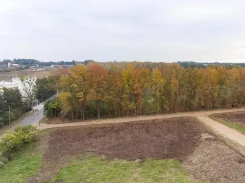 Terreno en Venta 12  mts Frente