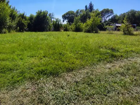 Las Acacias