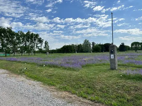 Terreno en Venta de 534,0 m2