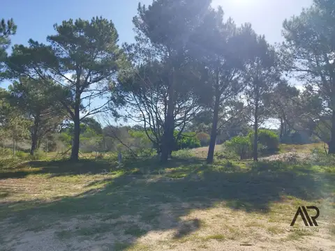 Terreno en Venta en Colonia el Porvenir, USD 529.000