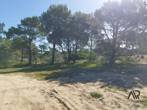 Terreno en venta de 2285m2 ubicado en  Barrio privado José Ignacio