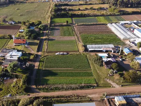 Terreno en Venta de 6796,0 m2