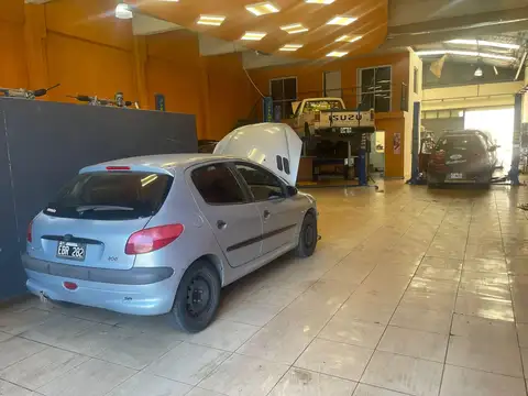 Local en Alquiler A Estrenar