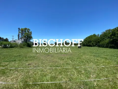 Quinta en Venta 2025 años