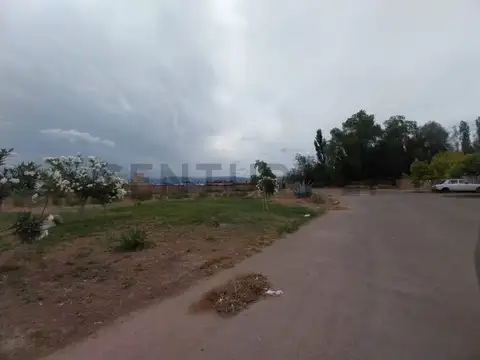 Terreno en Venta 8  mts Fondo