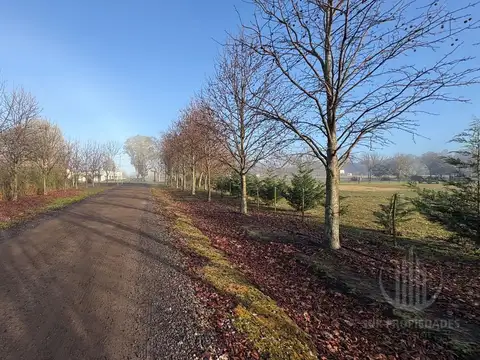 Terreno en Venta de 20000,0 m2