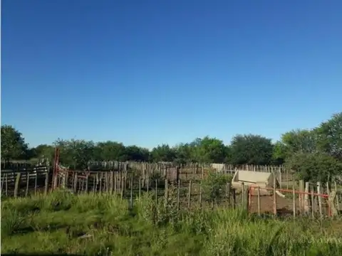 Campo en venta - 39.540.000Mts2 - La Pampa