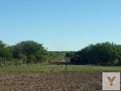 Campo en venta - 39.540.000Mts2 - La Pampa