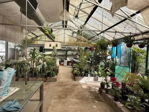 Terreno - Venta - Argentina, Vicente López - DE UZAL, FRANCISCO 3800