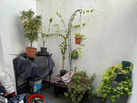 1amb PH patio PB s/exp